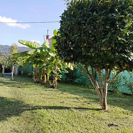 Holiday home La Camelia Pontevedra