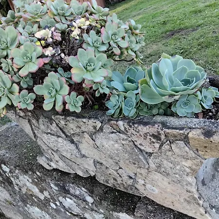 Holiday home La Camelia Pontevedra