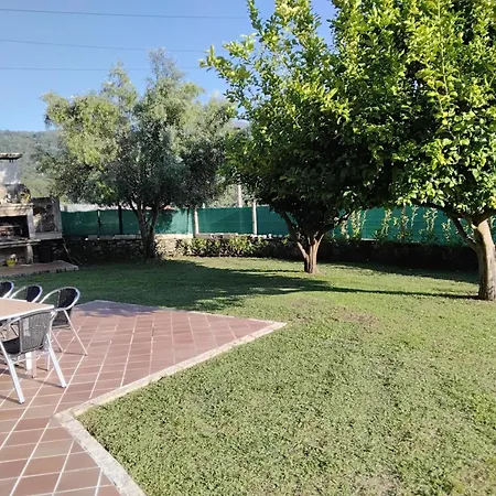 La Camelia * Pontevedra