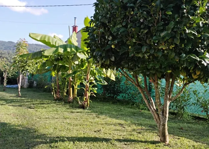 Tatil Evi La Camelia Pontevedra