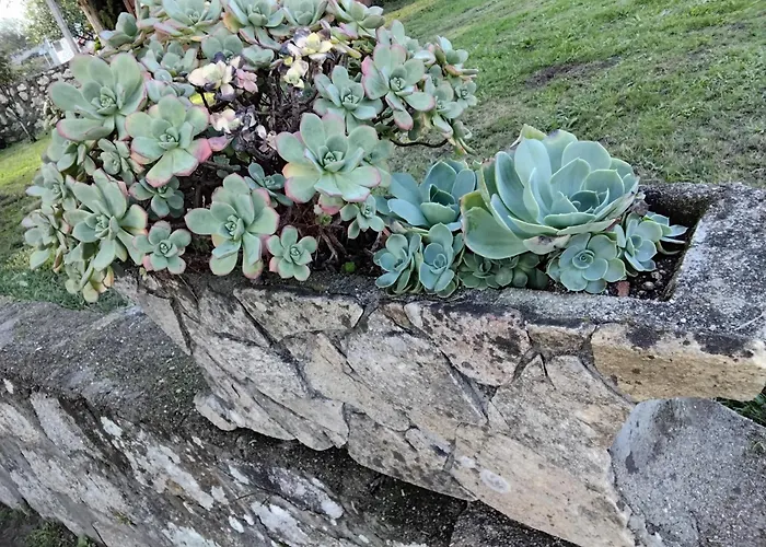 Tatil Evi La Camelia Pontevedra